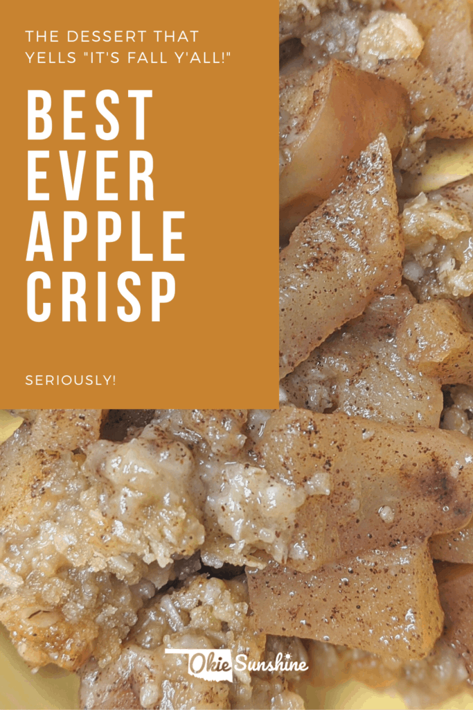 Best ever apple crisp recipe