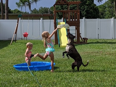 My daughters playing outside with the dog